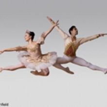 American Repertory Ballet Announces its 55th NUTCRACKER Season