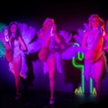 Photo Flash: First Look at the New Digital Theatrical Installation at Lola's Undergro