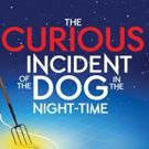 BWW Feature: THE CURIOUS INCIDENT OF THE DOG IN THE NIGHT-TIME at SOME THEATRE…