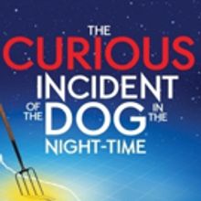 BWW Feature: THE CURIOUS INCIDENT OF THE DOG IN THE NIGHT-TIME at SOME THEATRE COMPAN