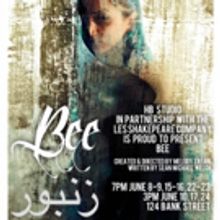 BEE, A Startling New Drama Runs at HB Theater June 8th thru 24th