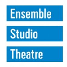 Ensemble Studio Theatre Announces 2018-19 EST/Youngblood New Members