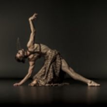 Conquistadors, Female Bulls And Animals In Drag In DeNada Dance Theatre's TORO…