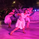 BWW Review: Under The Moonlight MOVES AFTER DARK Shines at Walt Disney Concert Hall