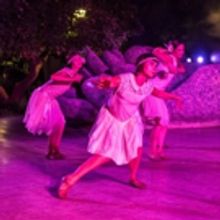 BWW Review: Under The Moonlight MOVES AFTER DARK Shines  at Walt Disney Concert Hall