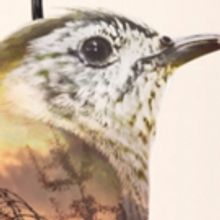 Conejo Players Theatre to Present ONE FLEW OVER THE CUCKOO'S NEST