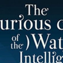 K2 By Patrick Meyers Finalizes Dragon Theatre's 2018 2nd Stages Series