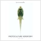 Protocultire Adapts, Evolves, & Thrives in Part One of Fifth Album VERSIFORM, Out Now