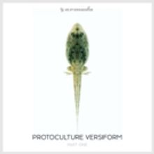 Protocultire Adapts, Evolves, & Thrives in Part One of Fifth Album VERSIFORM, Out Now