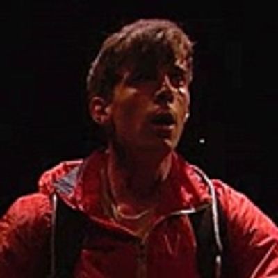 TV: Get an Exclusive Preview of NT Live's THE CURIOUS INCIDENT OF THE DOG IN THE NIGHT-TIME