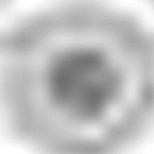 Gobble Up The Best Thanksgiving Happenings In Chicago