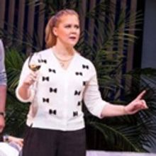 Review Roundup: The Critics Weigh In on METEOR SHOWER on Broadway