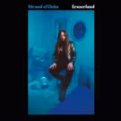 Strand of Oaks Announces 'Eraserland' Out 3/22