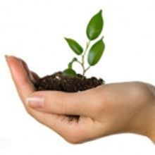 Theatre NOVA Announces Its Michigan Playwrights Festival