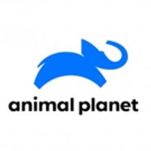 Animal Planet Presents JEREMY WADE'S DARK WATERS