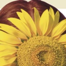 Olathe Civic Theatre Association presents ANNE OF GREEN GABLES