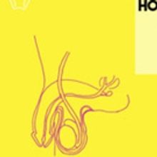 ADULT SEX ED With Dani Faith Leonard Comes to Caveat This Month