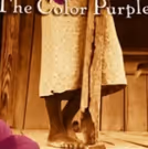 Peace Center Offers The Color Purple Lending Library; Hosts Book Discussion