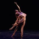 Dimensions Dance Theatre Of Miami's to Perform LIGHT RAIN as Part Of The…
