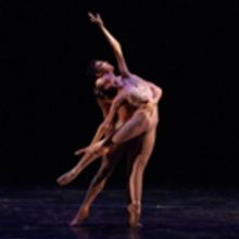 Dimensions Dance Theatre Of Miami's to Perform LIGHT RAIN as Part Of The Joffrey/Arpi