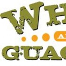 The Makers of the WHOLLY GUACAMOLE Brand Celebrate National Guacamole Day on Sept. 16