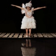 BWW Review: THE GREAT CHIMERA  at Thessaloniki Concert Hall