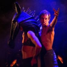 BWW Review: Onstage Magnetism of Outstanding Duo in EQUUS at Theatre On The Bay