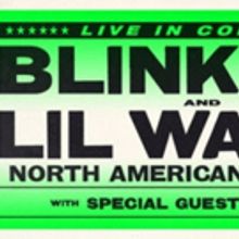 Blink-182 And Lil Wayne Announce Co-Headlining Summer Tour