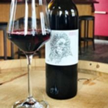 Lisa Gorham Creative Awarded International Muse Creative Award and National ADDY Awar