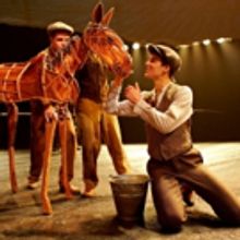BWW Review: WAR HORSE at HKAPA