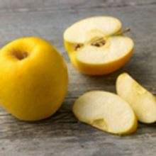 An Orchard Grows In New York City