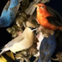 Cig Harvey presents New Exhibition YOU AN ORCHESTRA YOU A BOMB