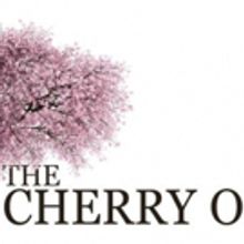 BWW Review: THE CHERRY ORCHARD at Metropolitan Theatre Ensemble @ Warwick Theater