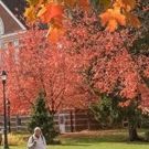 E-TOWN SHORTS FEST VII Puts Student Directors at Reins; Students Act In, Direct…