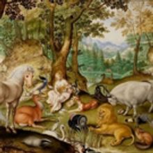 Corinthians Present ANIMALIA