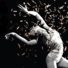 TITAS Presents Camille A. Brown & Dancers and Diavolo