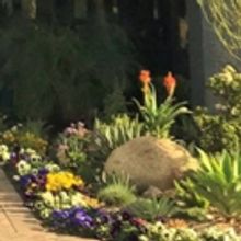 Orange County Music and Dance Joins Partnership for ARTIST OF THE YEAR AWARDS