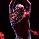 Spruce Peak Arts Announces The 2019-20 Student Matinee Series