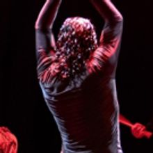 Spruce Peak Arts Announces The 2019-20 Student Matinee Series
