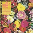 Ra Ra Riot Announces New LP 'Superbloom'