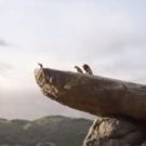 VIDEO: Watch the First Teaser Trailer for the Live-Action THE LION KING - Coming in…