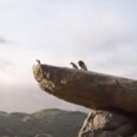 VIDEO: Watch the First Teaser Trailer for the Live-Action THE LION KING - Coming in… Video