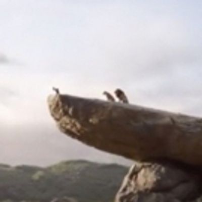 VIDEO: Watch the First Teaser Trailer for the Live-Action THE LION KING - Coming in 2019!