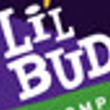 Stage 773 Announces Acquisition Of Of Li'l Buds Theatre Company