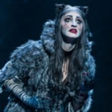 BWW Review: CATS Brings the Jellicle Ball to San Diego