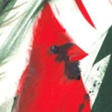 Eastside Artists Announce Annual Holiday Art Show