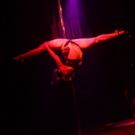Schtick A Pole In It Announces Prince Edition