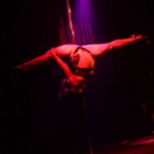 Schtick A Pole In It Announces Prince Edition