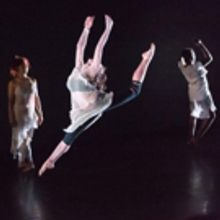 Baruch Performing Arts Center Presents Heidi Latsky Dance In The New York City…