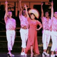 TV: Watch Highlights of Bebe Neuwirth, Carolee Carmello, Vanessa Williams & More in… Video